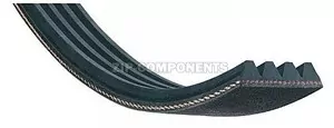 Ремень 1254J5 для стиральной машины Whirlpool 481235818157